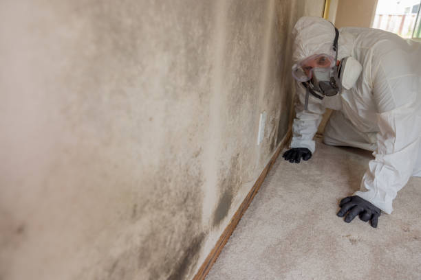 Forensic Mold Investigation